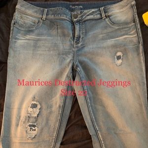 Maurices Destructed Jeggings